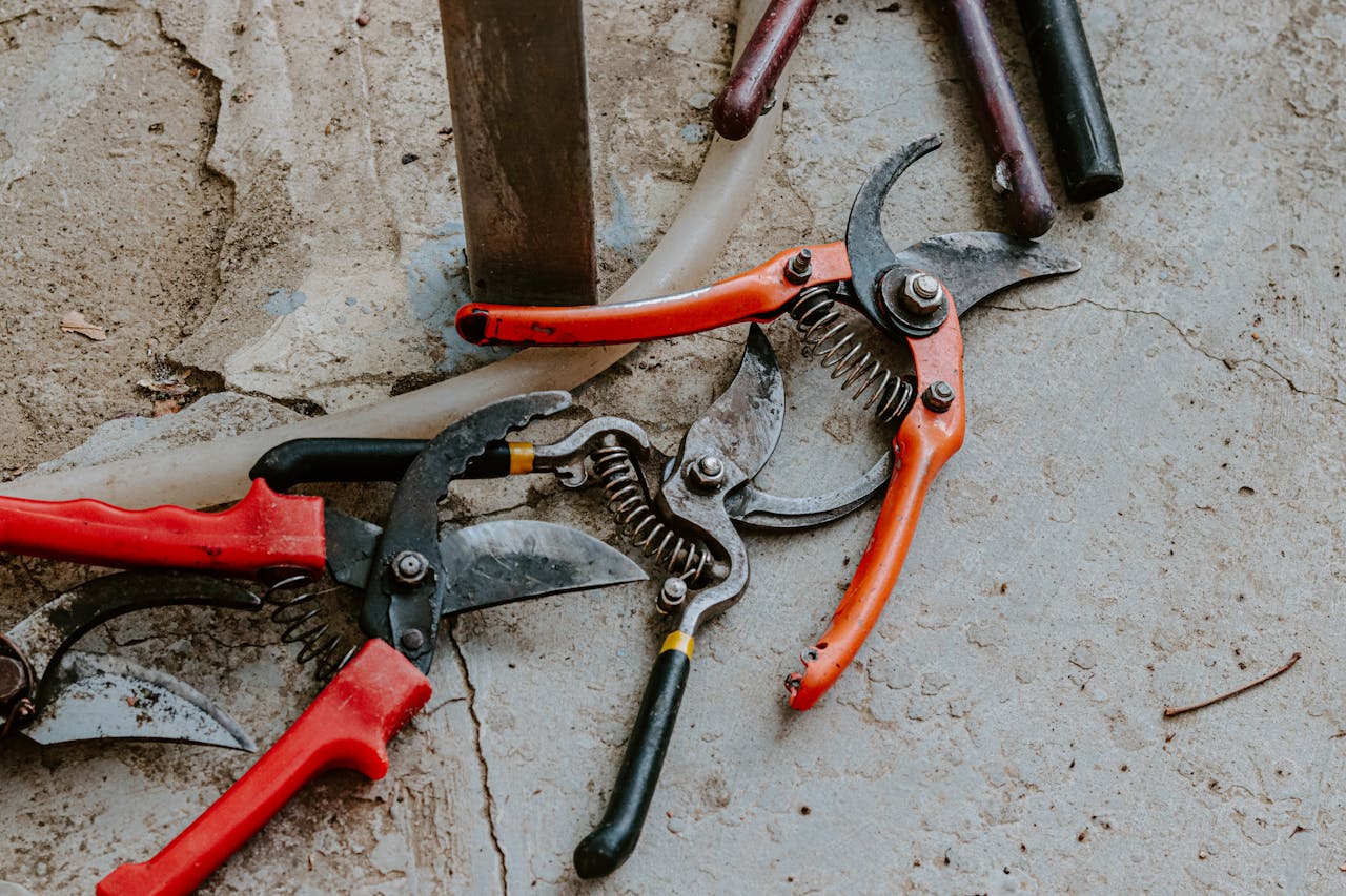 Home A selection of colorful garden tools arranged on a rough concrete background.